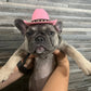 Cowboy Western Texas Pet Hat😸