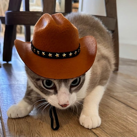 Cowboy Western Texas Pet Hat😸