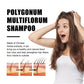 Polygonum Multiflorum GInger Shine Nourishing Root Shampoo