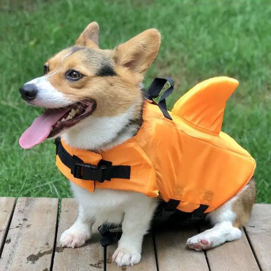 Dog Life Vest Shark🐶- Keep Your Pet Safe and Stylish in the Water!