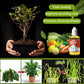 Plant Growth Enhancer Supplement🍃