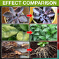 Plant Growth Enhancer Supplement🍃